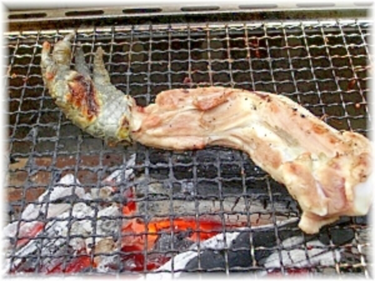 qでサプライズ ワニ手羽焼き レシピ 作り方 By Hungry Ozzie 楽天レシピ qでサプライズ ワニ手羽焼き レシピ 作り方 By Hungry Ozzie 楽天レシピ